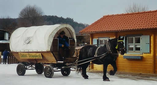 http://www.peters-ponyhof.de/galerie/Ferienkinder/slides/ferien01.jpg
