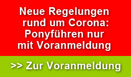 ponyfuehren